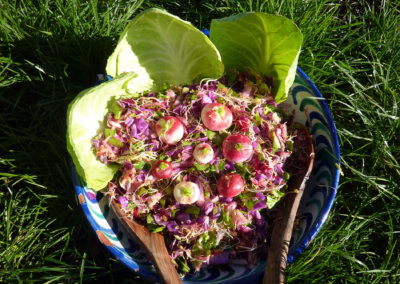 Repas crus et bio cuisinés sur place pour une véritable détox lors de votre séjour