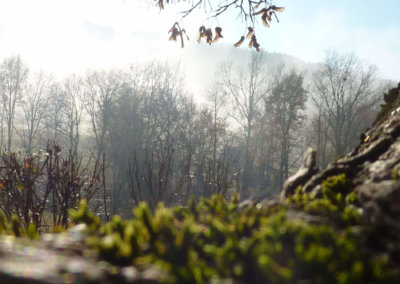 Splendide paysage hivernal aux pieds des pyrénées