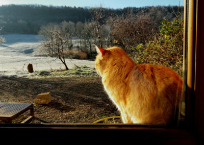 L'art de la contemplation à Manaska aux pieds des pyrénées