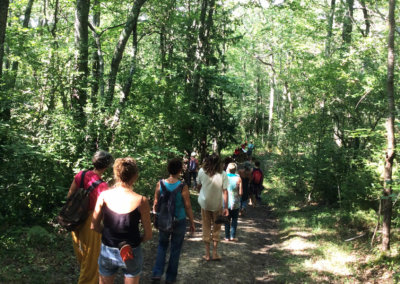 Marche reconnexion avec la nature dans les bois à Manaska