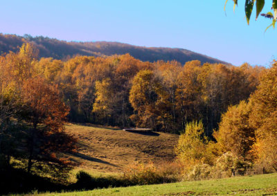 Le domaine de Manaska aux couleurs de l'automne
