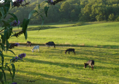 Manaska est un lieu de bien-être pour se ressourcer au milieu de la nature et des animaux en Haute-Garonne